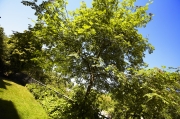 Haus_Karst_MG_9101