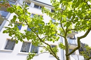 Haus_eller_MG_8185